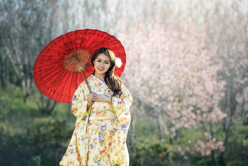 Geisha - Kyoto, Japan